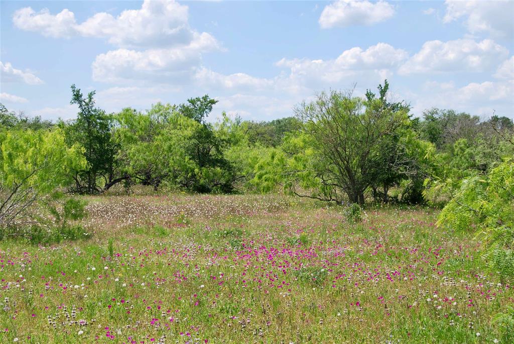 23 acres offering privacy and seclusion down a well maintained and lightly traveled county road. This property is dotted with Live Oak and Post Oak trees, pasture for grazing, and great pond in the southeast corner. Pick your building site among the beautiful oak trees, and navigate the newly cut trails to explore the acreage on your ATV or UTV.  Electricity nearby with a brand new entrance. The property backs up and neighbors a large tract on its southern border. The property is home to an abundance of wildlife including deer, turkey, hogs, and dove.  Located in a great school district, Moulton ISD, this property is centrally located between Houston, Austin, and San Antonio. 10 miles south of I-10, for easy access to and from the Interstate. Light restrictions in place to protect your investment. Additional acreage available, ask listing agent for details.