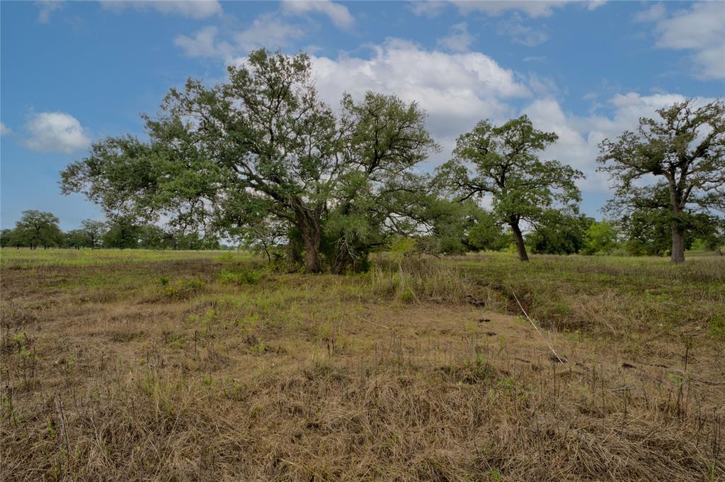 This 28 acre tract is conveniently located just north of Smithville in between HWY 71 and HWY 290. Ideally situated for the commuter to and from Austin. 
This tract features a nice elevation change leading back from Spauling Creek located in the front pasture. An additional 2 ponds provide an excellent watering source for the cattle and wildlife. Dotted along the creek are numerous live oaks, pin oaks and huge post oaks.
The property offers an excellent homesite in the middle of the tract overlooking the front pasture. Aqua water parallels the front fence and is also equipped with a fire hydrant. Bluebonnet electric is also in place, making the property a turn key setup for your custom home. 
If you’re looking for a recreation place, the back 2/3rds of this ranch are native with numerous trails and locations for your hunting or wildlife viewing pleasure. The area has been known to produce some large whitetail as well as turkey and the occasional hogs.