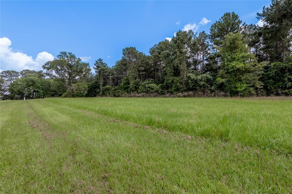 Lot 8 Jamestown Road , Trinity, Texas image 12