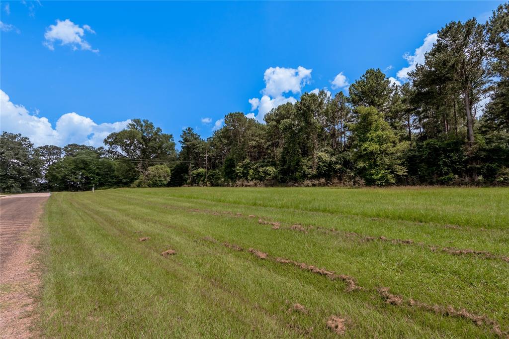 Lot 8 Jamestown Road , Trinity, Texas image 4