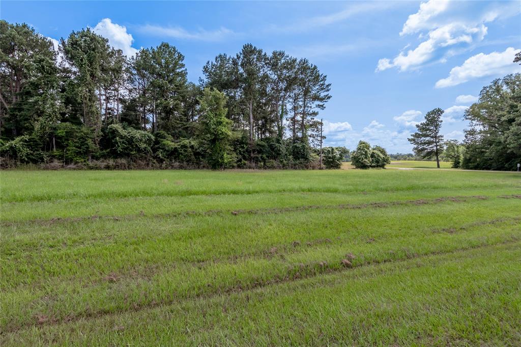 Lot 8 Jamestown Road , Trinity, Texas image 6