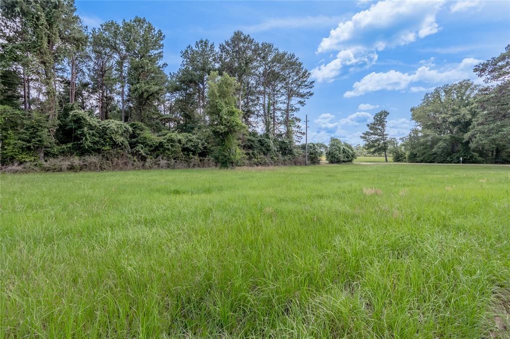 Lot 8 Jamestown Road , Trinity, Texas image 8