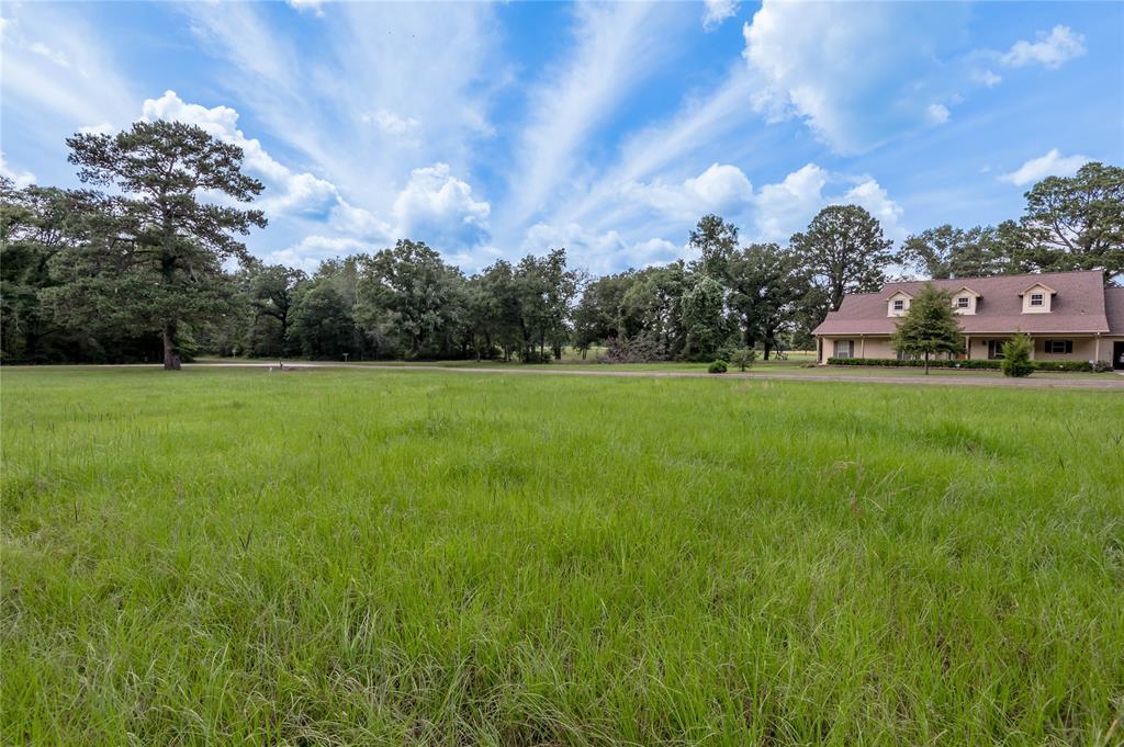 Lot 8 Jamestown Road , Trinity, Texas image 9