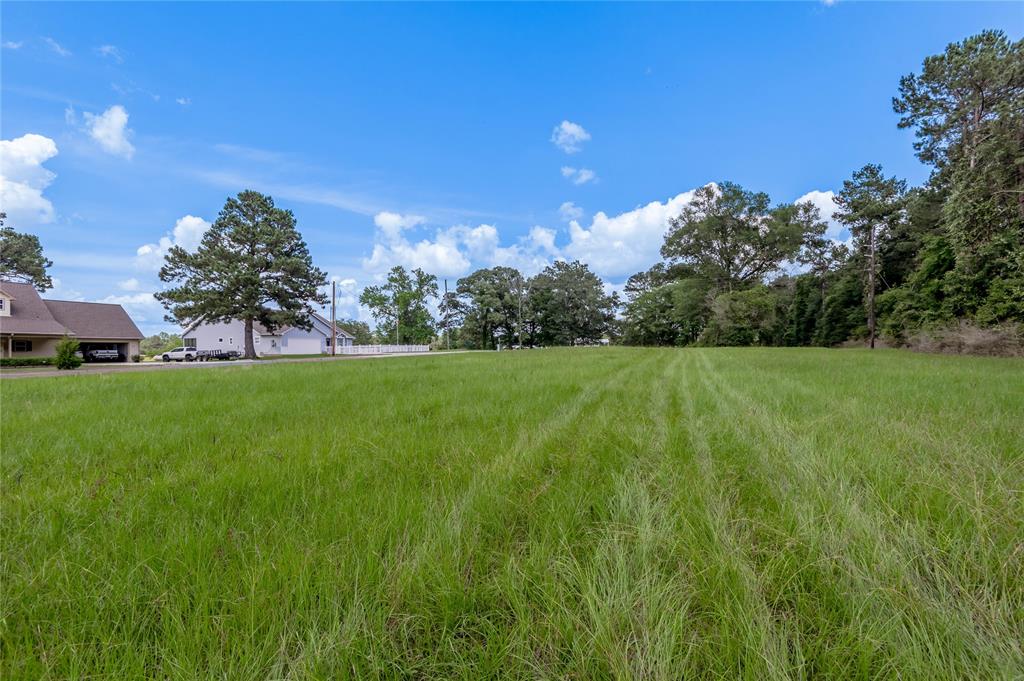 Lot 8 Jamestown Road , Trinity, Texas image 10