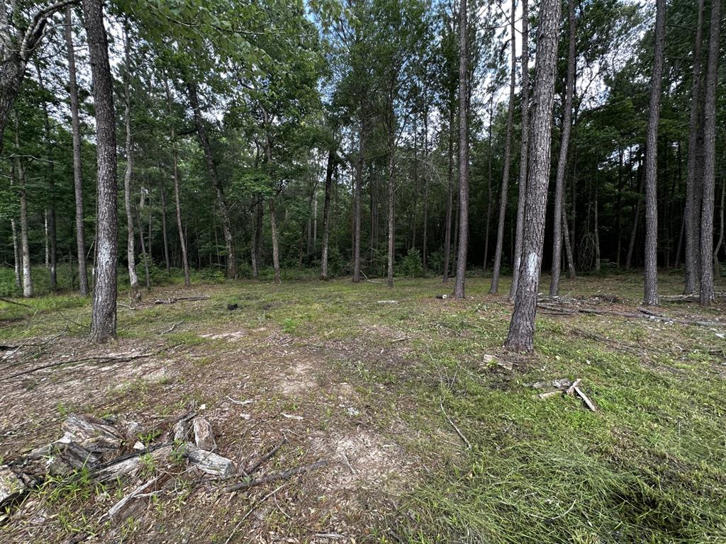 Build your dream home in this settled community of Trails End #1. This 1.6-acre unrestricted lot has already been cleared and ready for your new home. Because the subdivision is already established it's a lot easier to add all needed utilities. Will need septic.