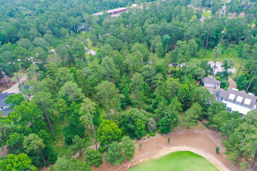 26106 Sandy Branch Way, Montgomery 26106 Sandy Branch Way Montgomery Texas 77316, 39