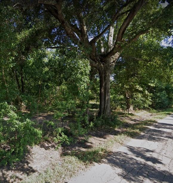 27321  Nelson Street Spring Texas 77373, Spring