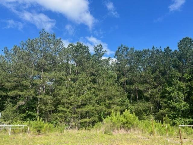 This 92 acre wooded property is split between two tracts: #23065 is 62 acres and #19063 is 30 acres.  Naskila Gaming casino is only 8 minutes away!  Clear yourself a spot to build your dream home, turn a portion into pasture for livestock, or set up some deer stands for hunting.  The possibilities are endless.  Get away from the business of city life and come enjoy the outdoors in the piney woods of East Texas!
