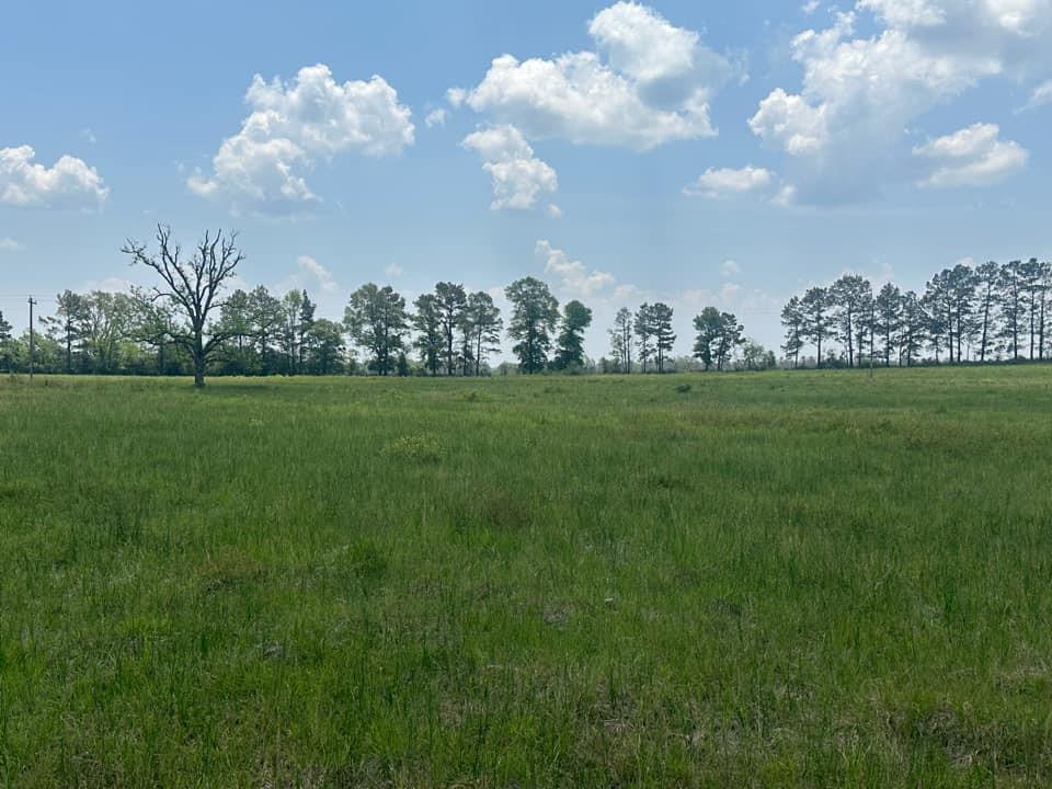 10 acres of improved pastureland, Has a great hill for home site that would overlook acers of pastureland. ready for cattle/ horses. Plenty of road frontage.