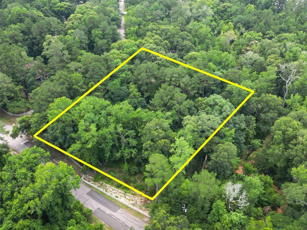 7357  Teaswood Drive  Conroe Texas 77304, Conroe