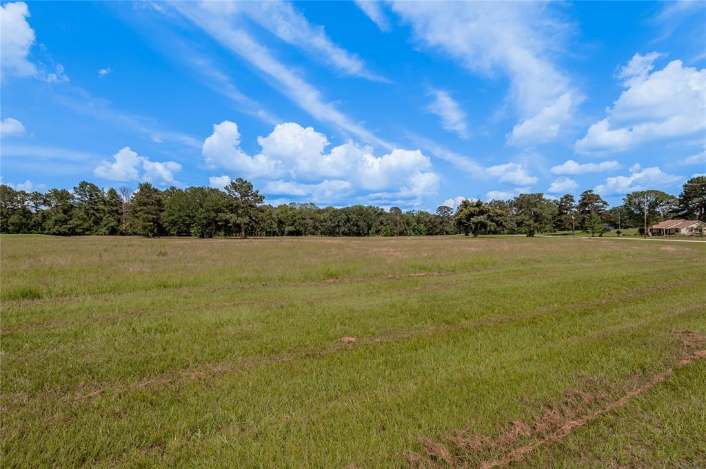 Lot 21 Atlanta Way , Trinity, Texas image 4