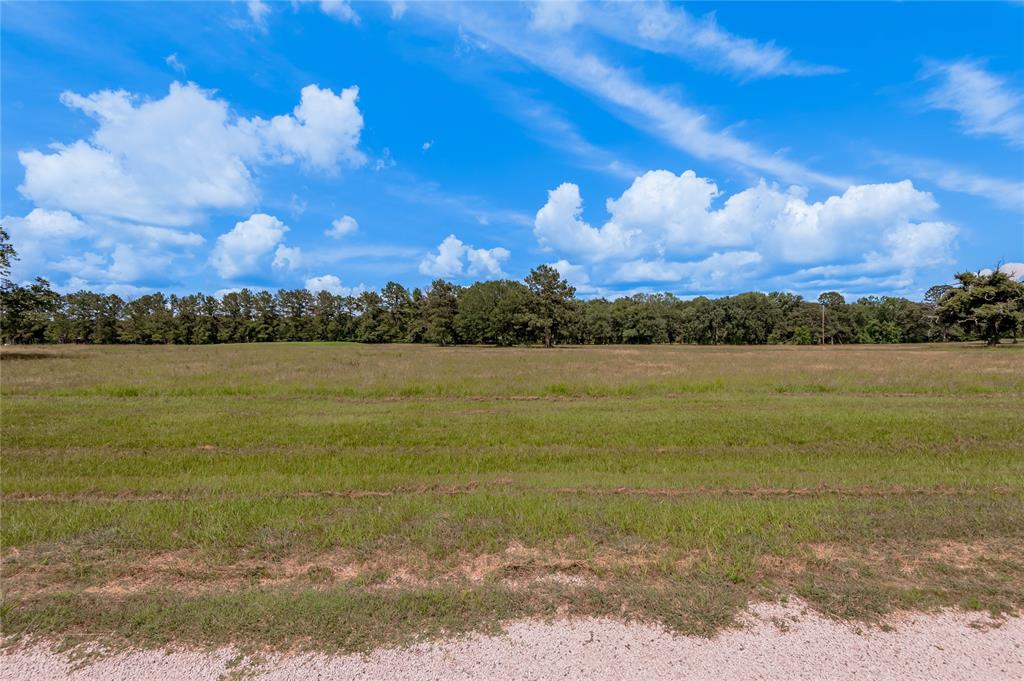 Lot 21 Atlanta Way , Trinity, Texas image 5