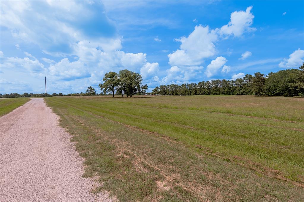 Lot 21 Atlanta Way , Trinity, Texas image 6