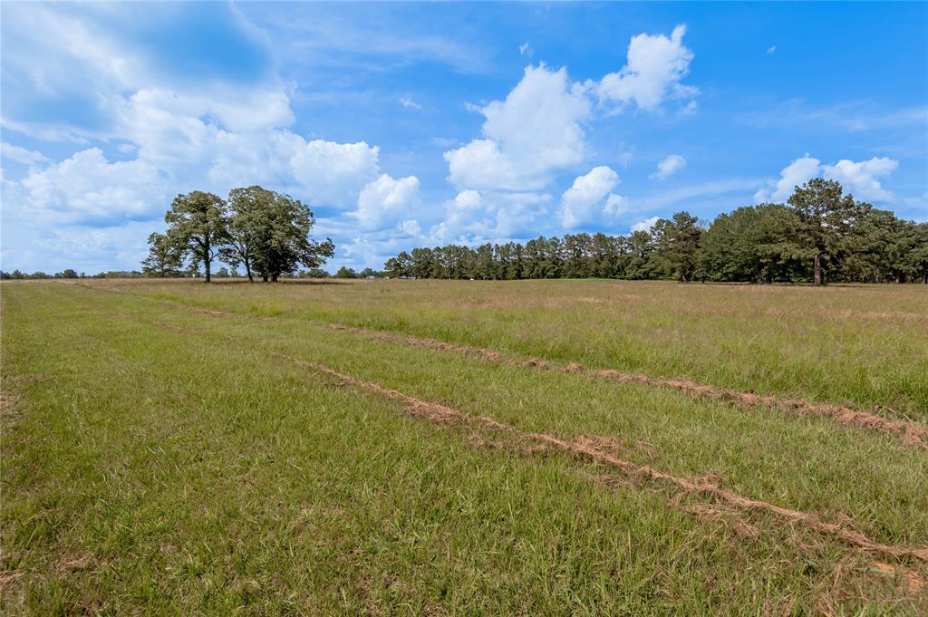 Lot 21 Atlanta Way , Trinity, Texas image 7