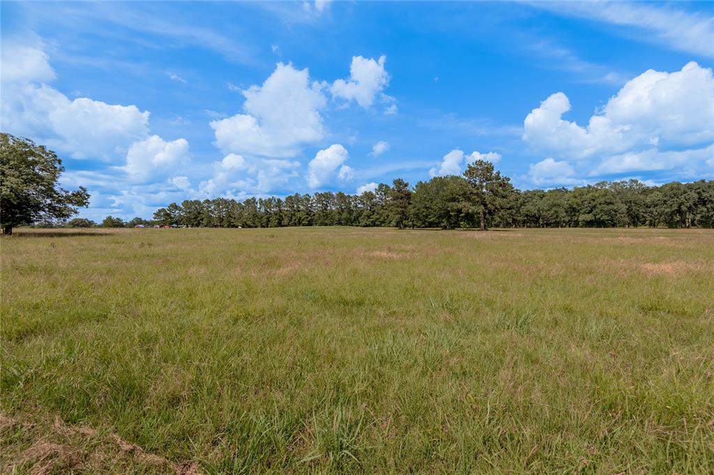 Lot 21 Atlanta Way , Trinity, Texas image 8