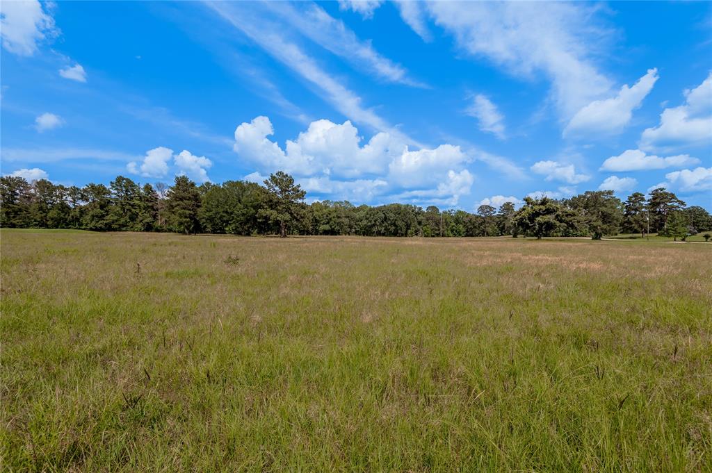 Lot 21 Atlanta Way , Trinity, Texas image 9