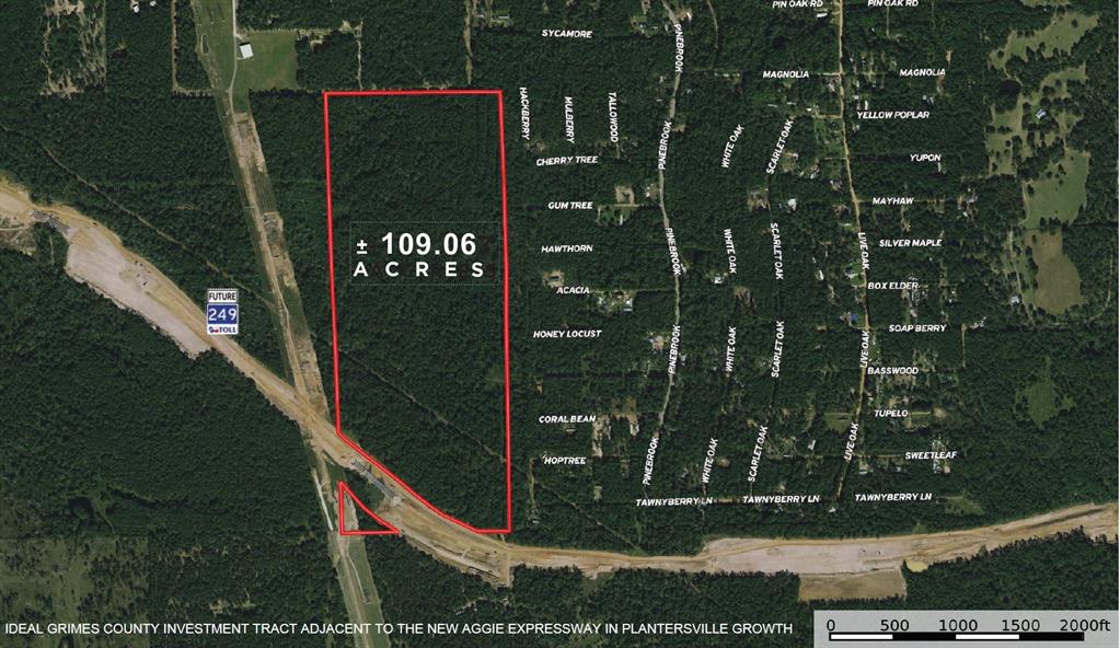 Exceptional 109-Acre Commercial Development Opportunity in Plantersville, TX!

Rare opportunity! 109 acres of prime, unrestricted, opportunity-zoned land awaits developers and investors in Plantersville, TX. This raw, unimproved property holds immense potential for commercial development, boasting a current timber exemption. With the added advantage of being adjacent to the new toll-free section of the Aggie expressway, the highest and best use of this land is clear. Don't miss out on this lucrative investment in a rapidly growing area!