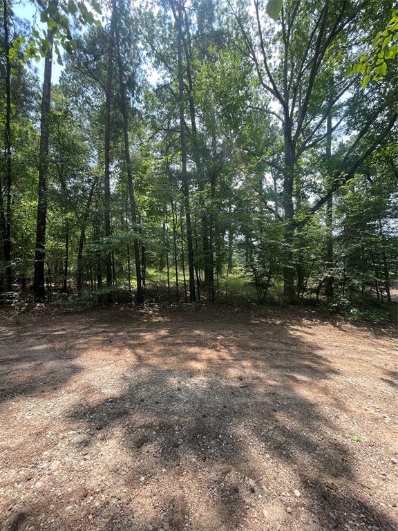 TBD  Shadowood Circle Coldspring Texas 77331, 64