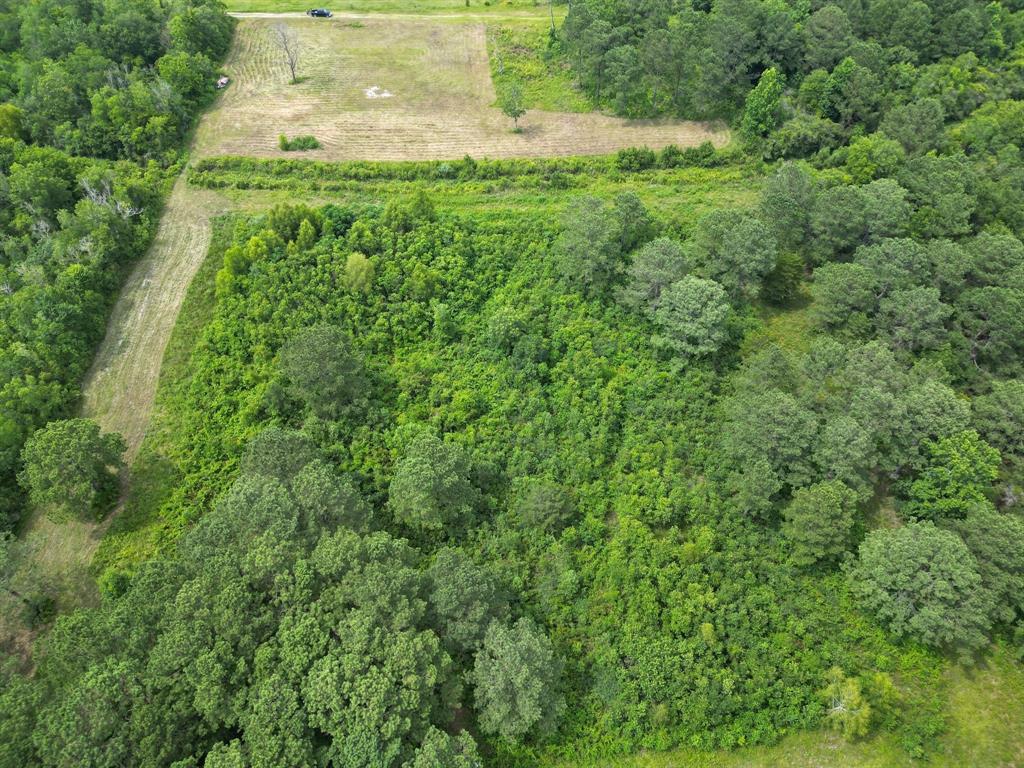 00  Haynes Road Anahuac Texas 77514, 53