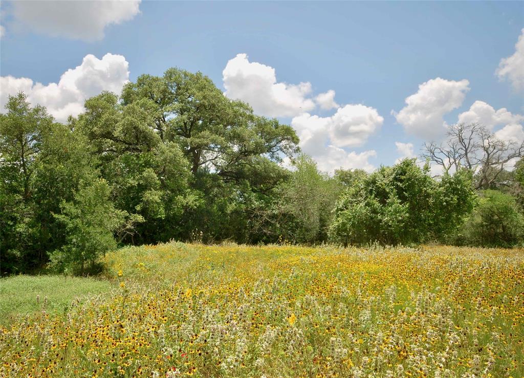 27 acres offering privacy and seclusion down a well maintained and lightly traveled county road. This property is dotted with Live Oak and Post Oak trees, has a small pond, and a wet weather draw/creek. A mix of pasture and hardwoods, there are several great building sites onsite, with electricity nearby with a brand new entrance. The property backs up and neighbors two large tracts on its west and southern borders. The property is home to an abundance of wildlife including deer, turkey, hogs, and dove.  Located in a great school district, Moulton ISD, this property is centrally located between Houston, Austin, and San Antonio. 20 minutes to Historic Gonzales for shopping and dining, or just 15 minutes to Moulton for dining as well. Light restrictions in place to protect your investment. Additional acreage available, ask listing agent for details.