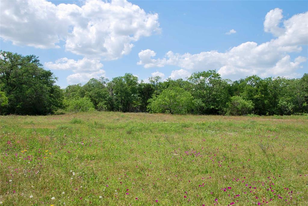 23 acres, with tremendous hardwoods!  A mix of live oak and post oak trees, this tract is beautiful and can be as private as you want it to be. Pick your building site among the beautiful oak trees, and navigate the newly cut trails to explore the acreage on your ATV or UTV. Electricity is nearby and there is a brand new entrance. The property backs up and neighbors a large tract on its southern border. An abundance of wildlife call this property home, including deer, turkey, hogs, and dove.  Located in a great school district, Moulton ISD, this property is centrally located between Houston, Austin, and San Antonio. 10 miles south of I-10, for easy access to and from the Interstate. Light restrictions in place to protect your investment. Additional acreage available, ask listing agent for details.