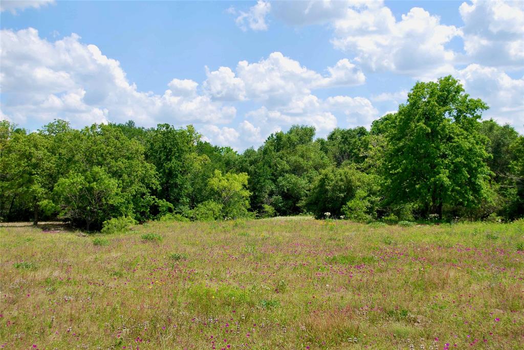 25 acres offering privacy and seclusion down a well maintained and lightly traveled county road. This property is dotted with Live Oak and Post Oak trees, pasture for grazing, and great pond in the southeast corner. Pick your building site among the beautiful oak trees, and navigate the newly cut trails to explore the acreage on your ATV or UTV.  Electricity nearby with a brand new entrance. The property backs up and neighbors a large tract on its southwest corner, and also features Ben Brook Creek all along its southern border. An abundance of wildlife call this property home,  including deer, turkey, hogs, and dove.  Located in a great school district, Moulton ISD, this property is centrally located between Houston, Austin, and San Antonio. 10 miles south of I-10, for easy access to and from the Interstate. Light restrictions in place to protect your investment. Additional acreage available, ask listing agent for details.