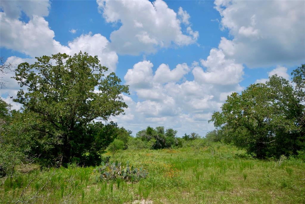 10 acres with multiple building sites, dotted with Live Oak and Post Oak trees.  Features a new entrance, newly cut trails for exploring the property. Small acreage tracts are few and far between in this area, featuring the trees and privacy this property affords. The county road is well maintained. Located in a great school district, Moulton ISD, this property is centrally located between Houston, Austin, and San Antonio. 10 miles south of I-10, for easy access to and from the Interstate. Light restrictions in place to protect your investment. Additional acreage available, ask listing agent for details.