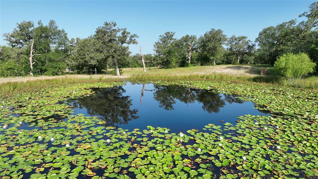 510 Private Road 4035, Somerville 510 Private Road 4035 Somerville Texas 77879, 59