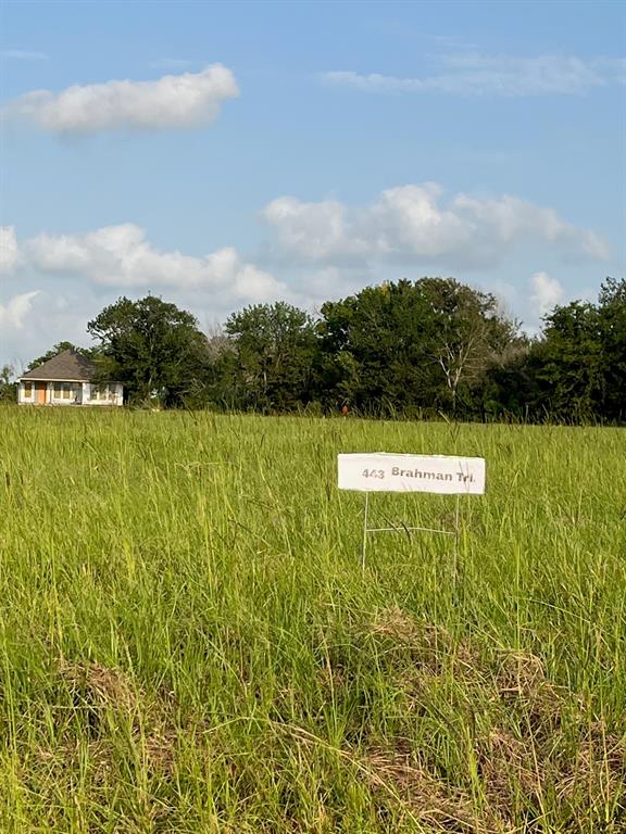 443 Brahman Trl