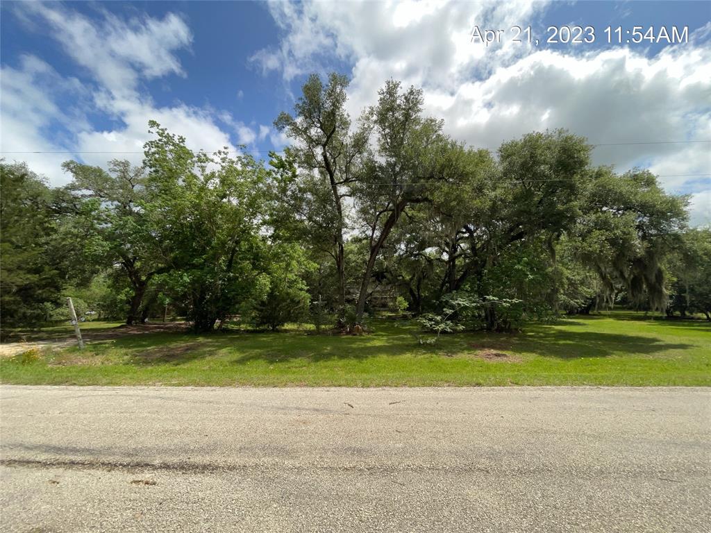 122 County Road 163  County Road 163 Brown Road Cedar Lane Texas 77415, 54