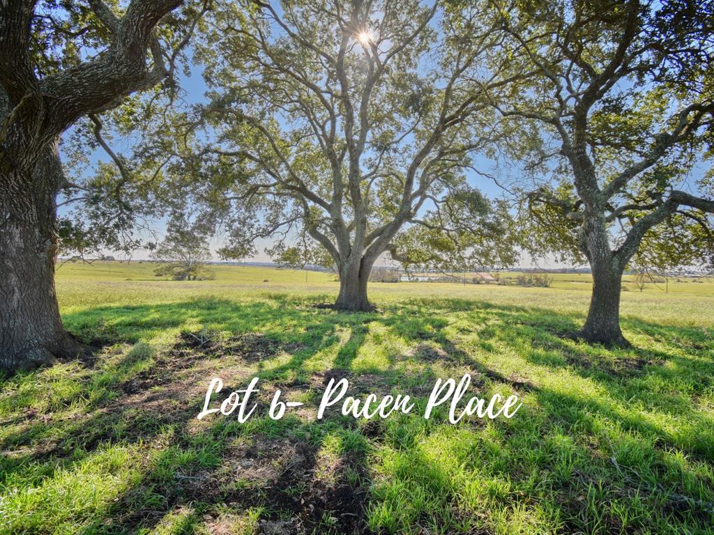 TBD 6  Pacen Place  Chappell Hill Texas 77426, Chappell Hill