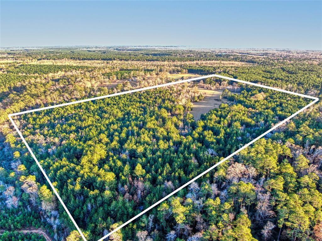 100 Liberty Ln, Goodrich, TX 77335