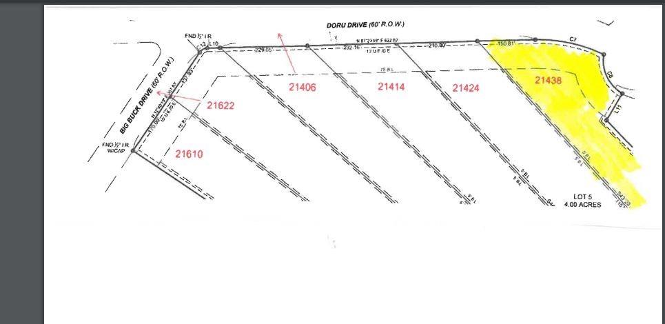 21438  Doru Drive  Cleveland Texas 77328, 19