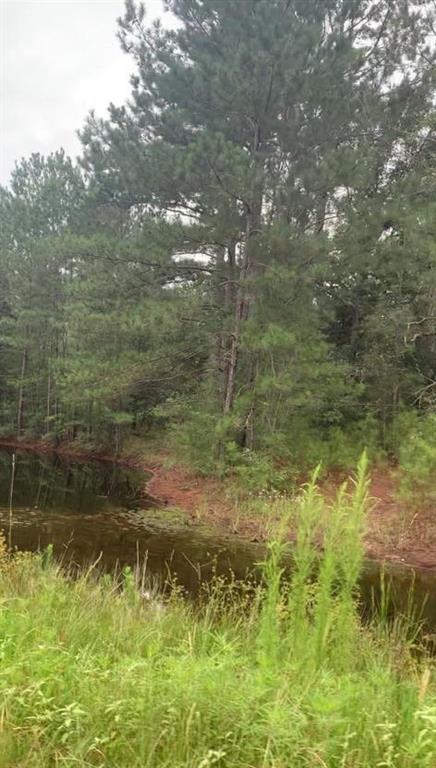 000  Fern Drive Hempstead Texas 77445, Hempstead