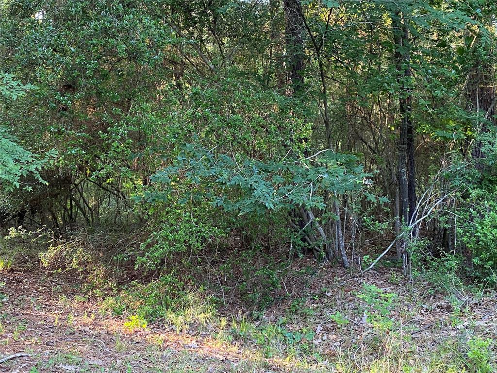 Lot 22-24  Cessna Court  Trinity Texas 75862, 42