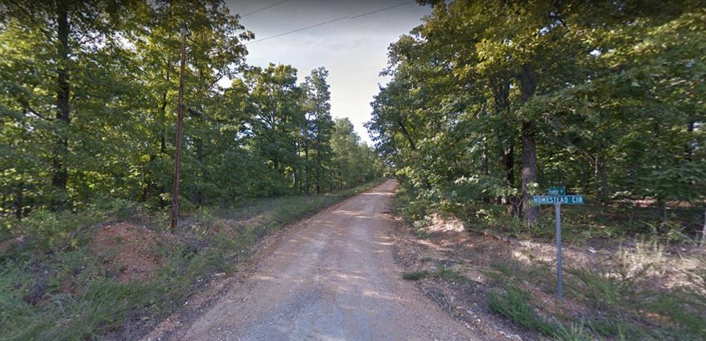 0  Frontier Drive Other Arkansas 72482, 81