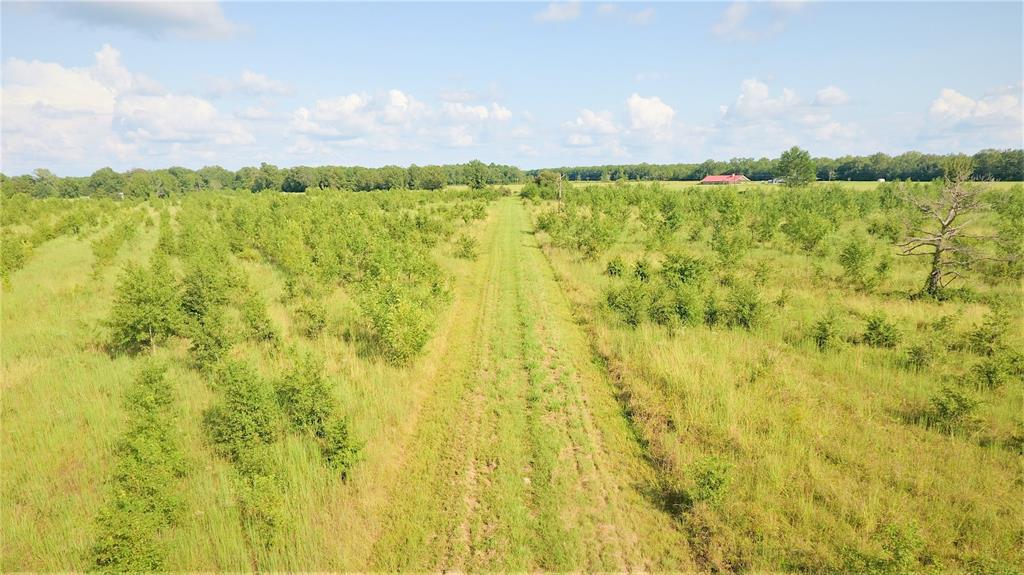 00 Highway 67  N, Simms, Texas image 5