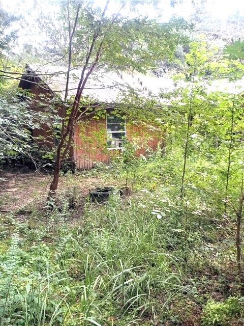 11103 Freeman Rd