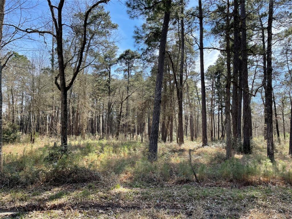 7603 Circle Drive, Montgomery 7603 Circle Drive Montgomery Texas 77356, 39