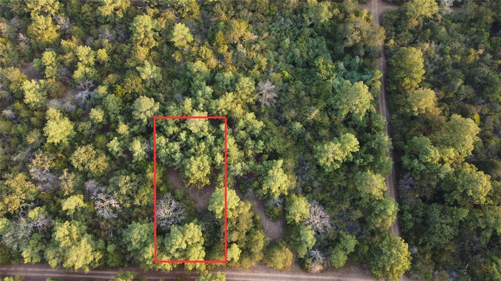 TBD Hummingbird Lane Hempstead Texas 77445, Hempstead TBD Hummingbird Lane Hempstead Texas 77445, Hempstead
