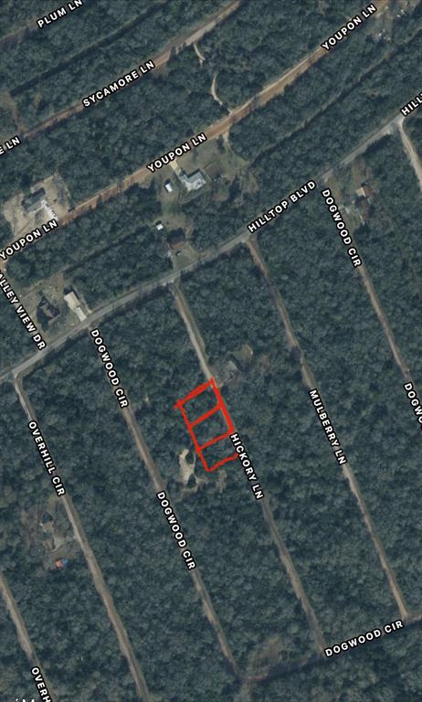 TBD  Hickory Lane Hilltop Lakes Texas 77871, 63