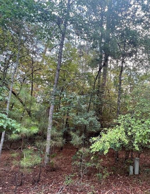00  Park View Drive  Hempstead Texas 77445, 26