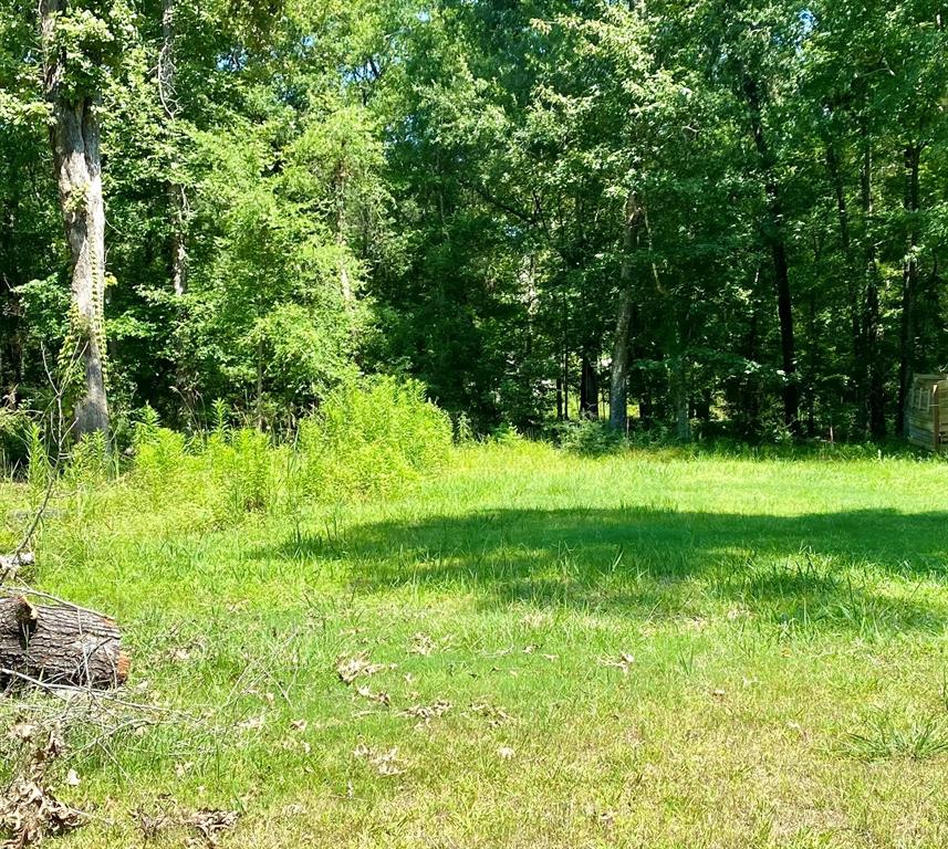 250  Knottypine  Livingston Texas 77351, Livingston