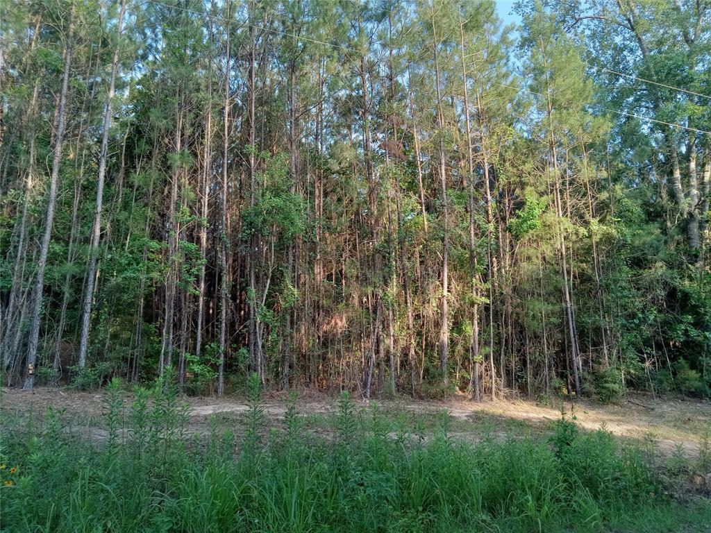 3 Acres with waterview