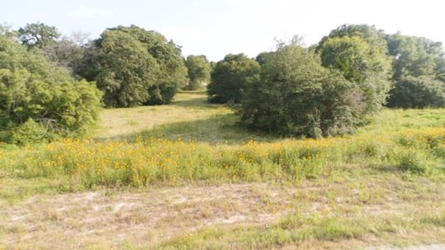 277 N Garrett  Bellville Texas 77418, Bellville