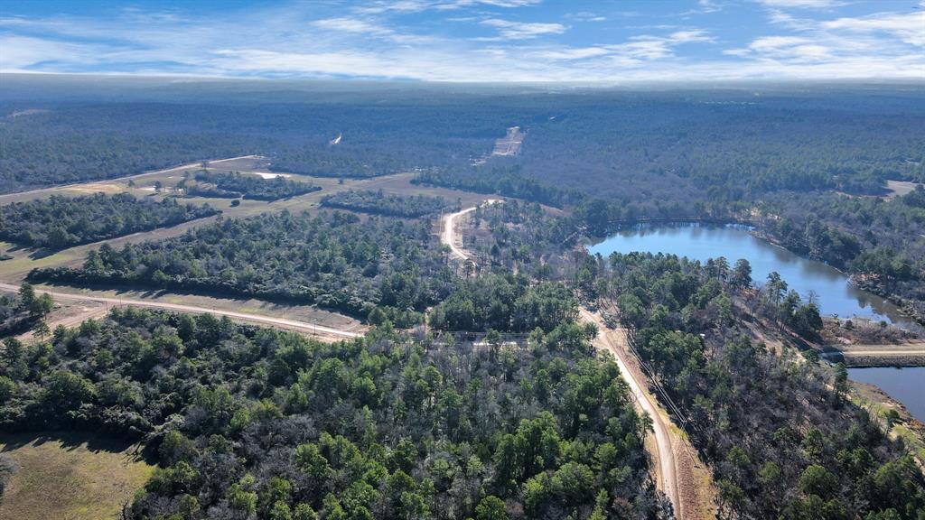 TR 35 Three Lakes Ranch  , Centerville, Texas image 26