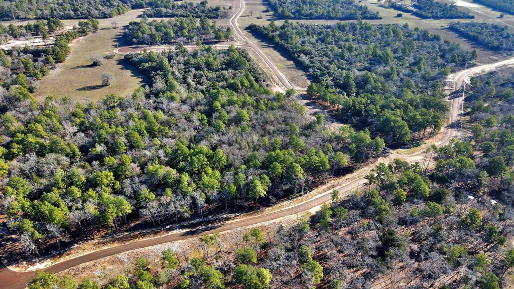 TR 35 Three Lakes Ranch  , Centerville, Texas image 30