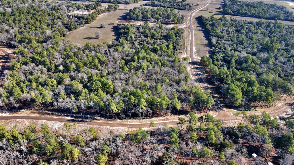 TR 35 Three Lakes Ranch  , Centerville, Texas image 32