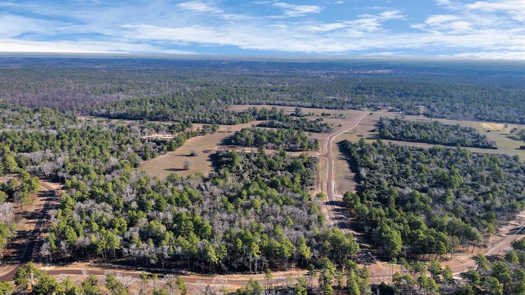 TR 35 Three Lakes Ranch  , Centerville, Texas image 34