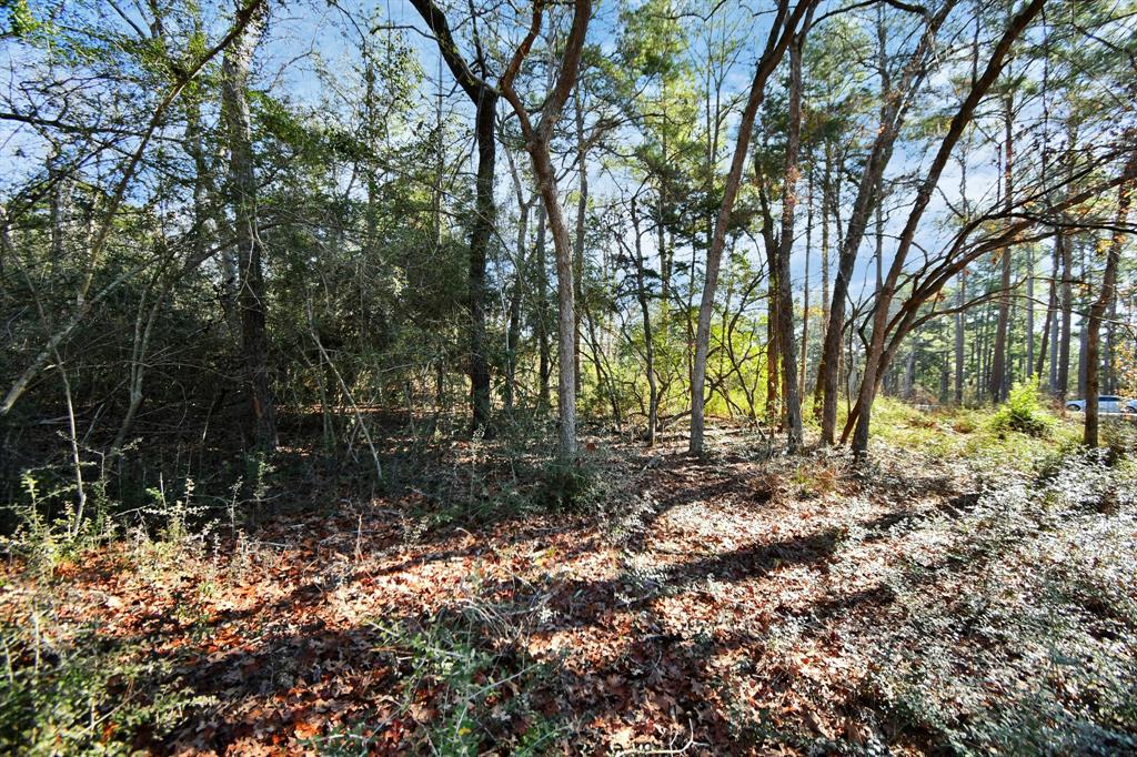 TR 35 Three Lakes Ranch  , Centerville, Texas image 39